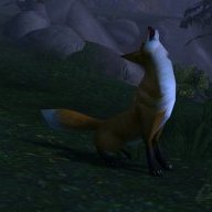 redfoxxx